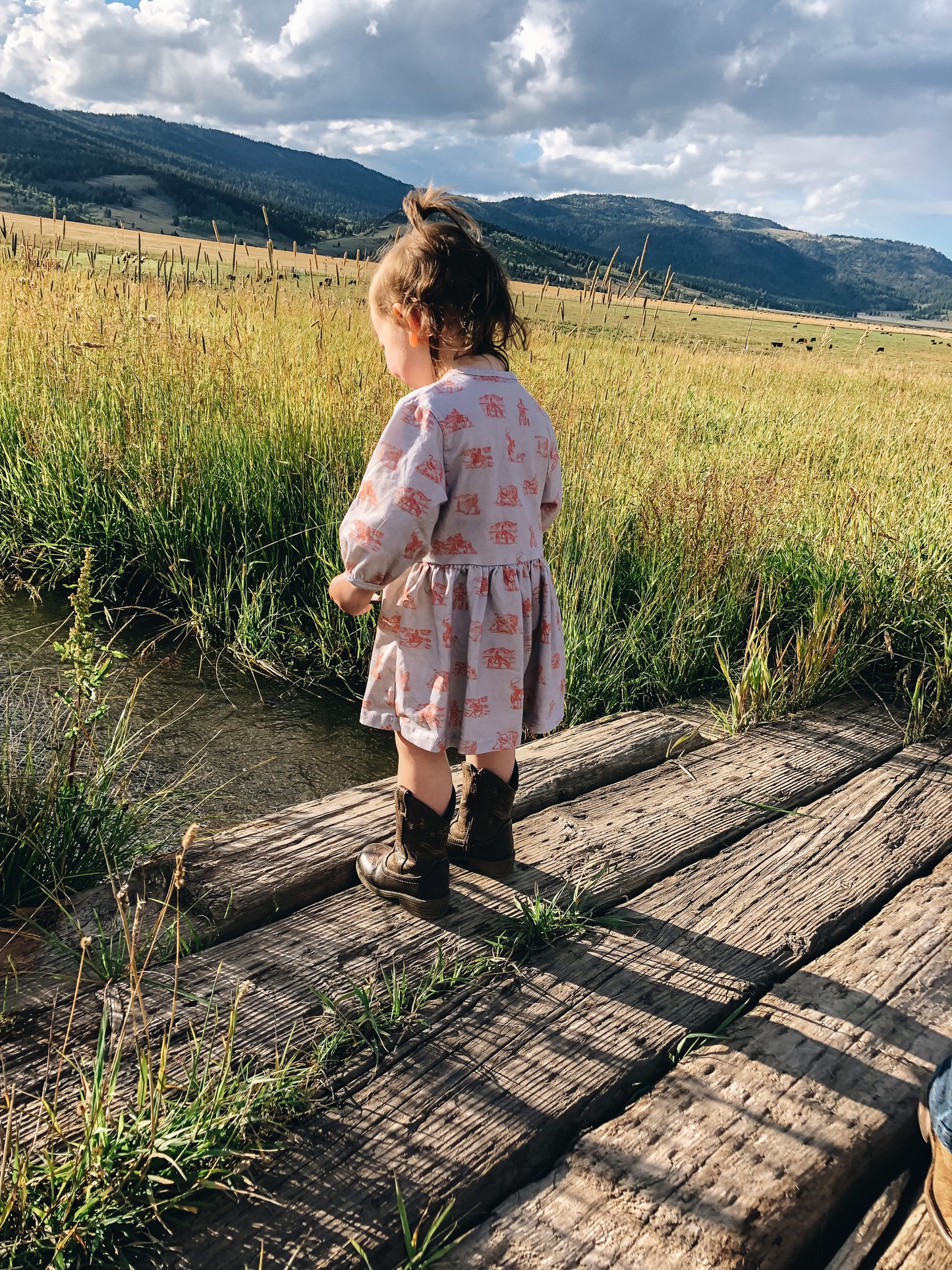Buffalo Round-Up Boho Western Organic Cotton Dress (Toddler & Little Kid)