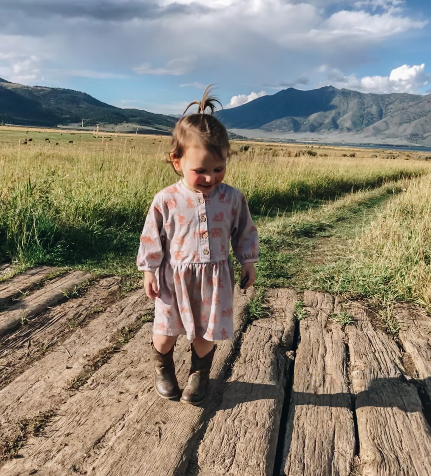 Buffalo Round-Up Boho Western Organic Cotton Dress (Toddler & Little Kid)