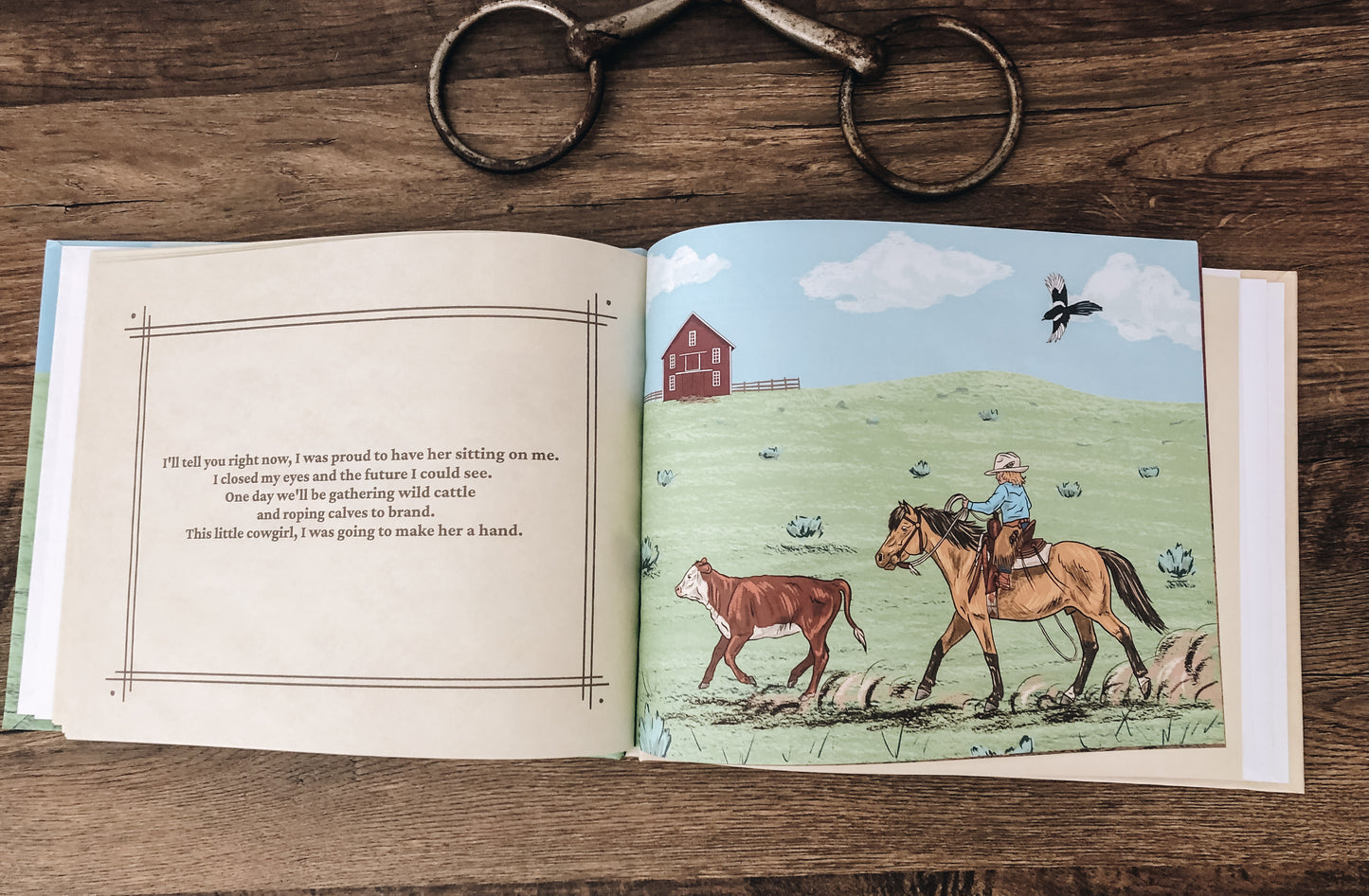For My Little Cowgirl Book (Hardcover)