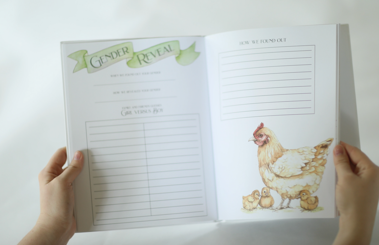 The Barnyard Baby Book