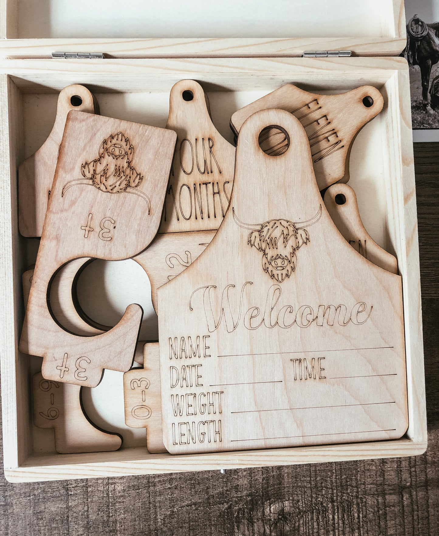 Welcome to the Herd Milestone Gift Box (22 pieces)