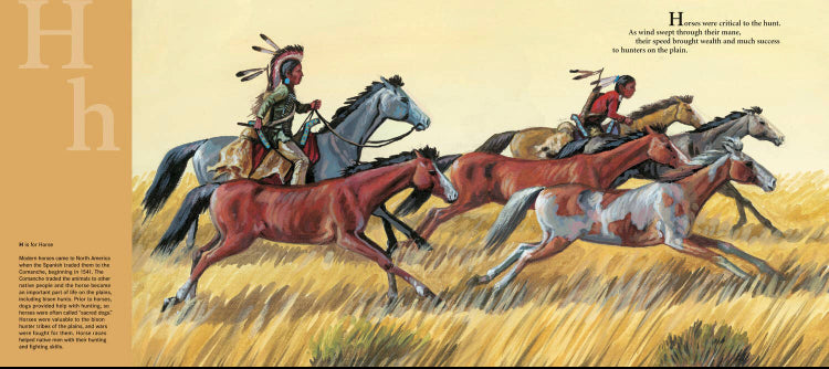 D is for Drum: A Native American Alphabet