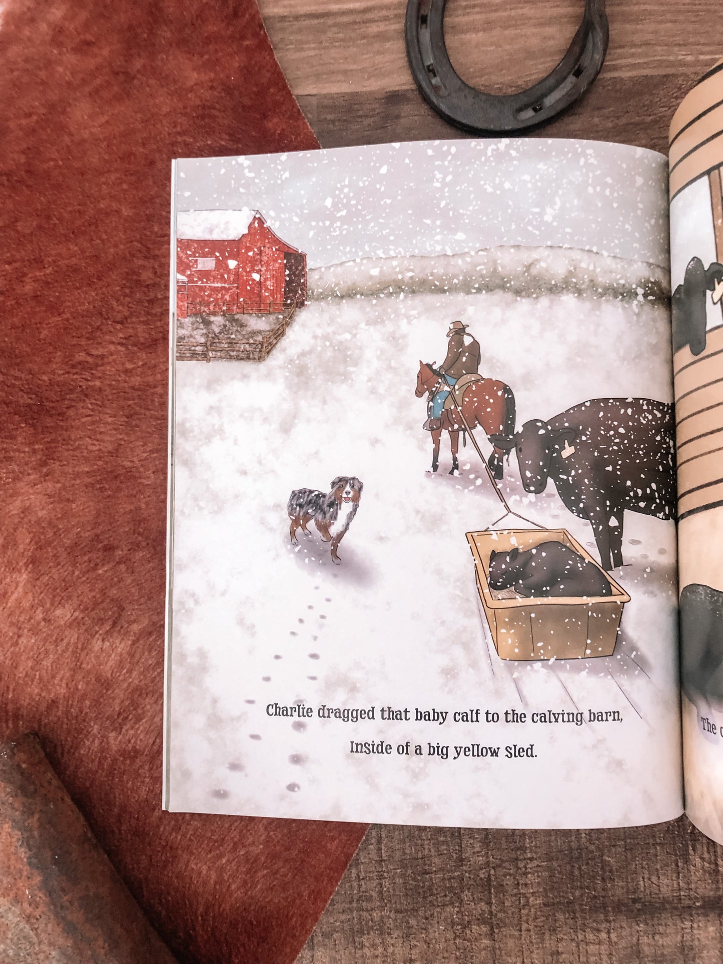 Reo The Ranch Dog Book