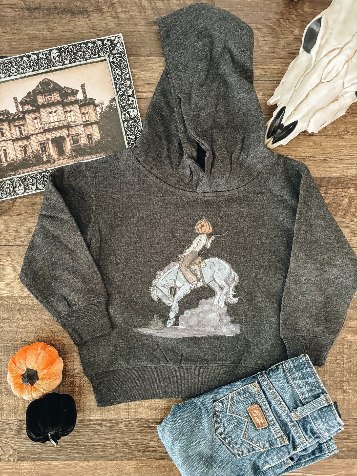 Ghost Horse Hooded Sweatshirt (Toddler & Youth) - Charcoal (2T)