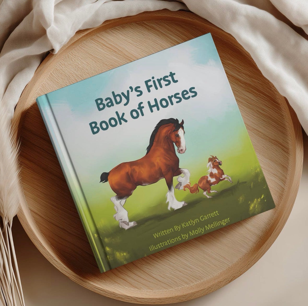 Baby's First Book of Horses - Board Book