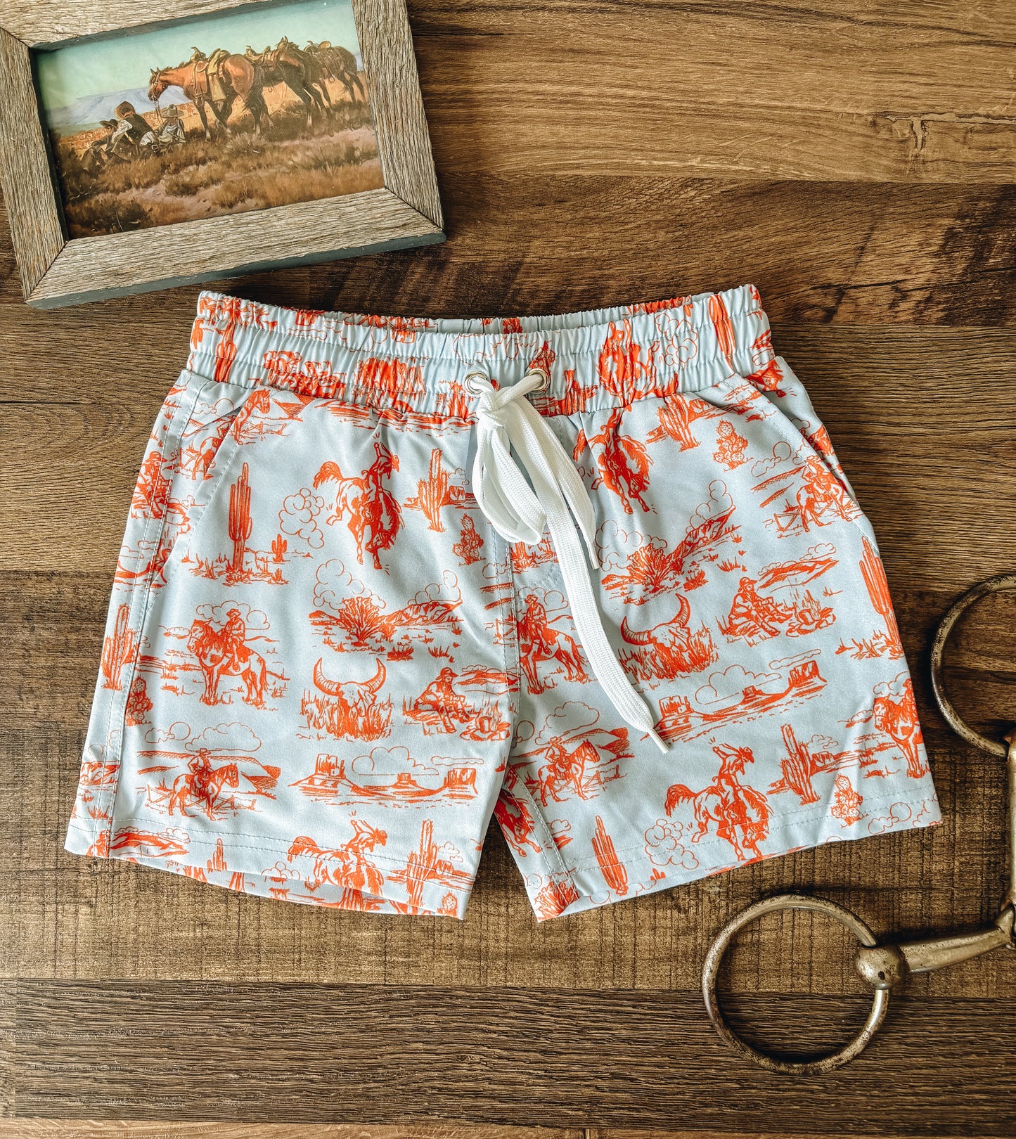 A Day On The Plains Boy's Swim Trunks (Baby, Toddler, and Youth)