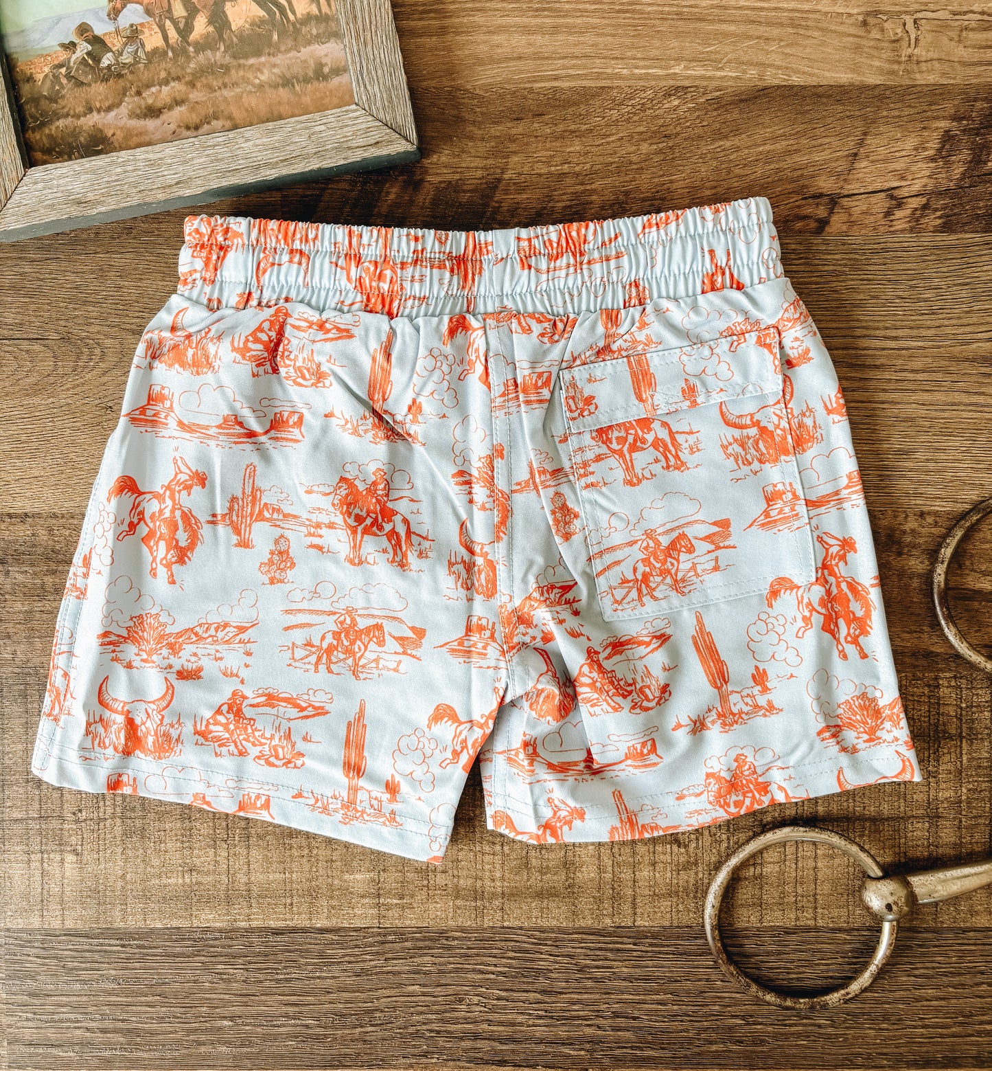 A Day On The Plains Boy's Swim Trunks (Baby, Toddler, and Youth)