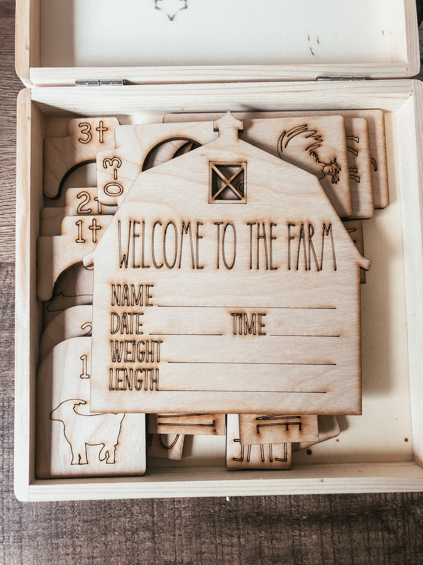 Future Farmer Milestone Gift Box Set (22 Piece Set)
