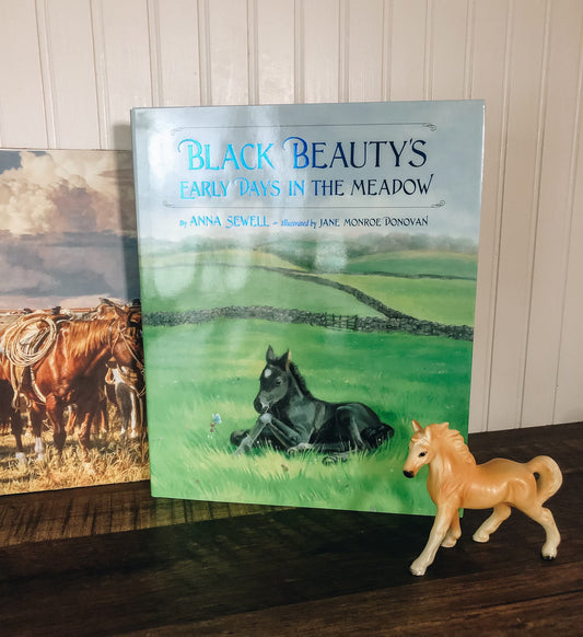 Black Beauty's Early Days In the Meadow Picture Book (Hardcover)
