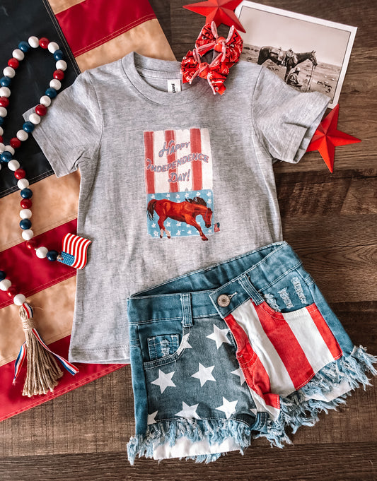 Independence Day (Baby, Toddler, & Youth) - Heather Grey