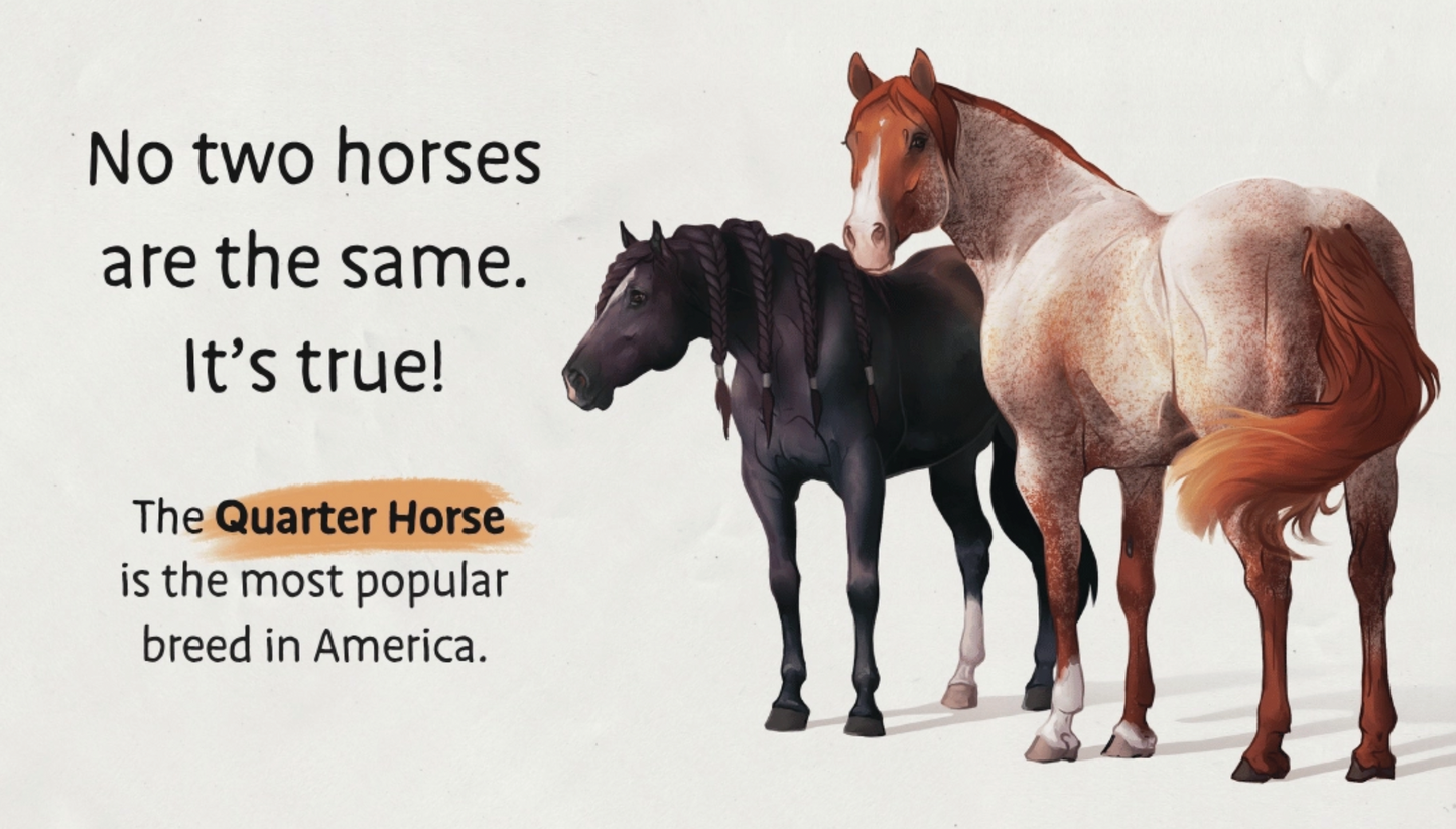 Baby's First Book of Horses - Board Book