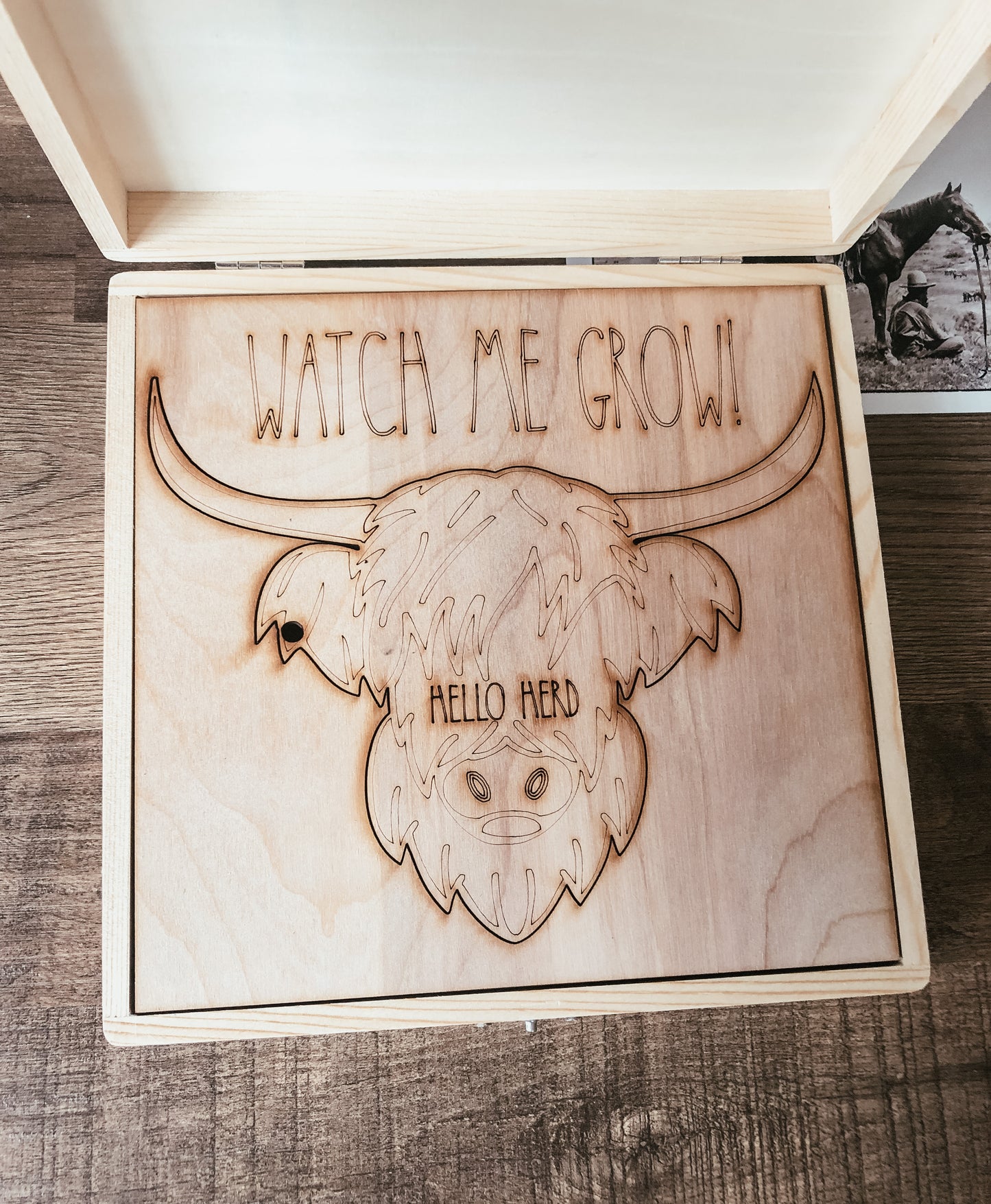 Welcome to the Herd Milestone Gift Box (22 pieces)